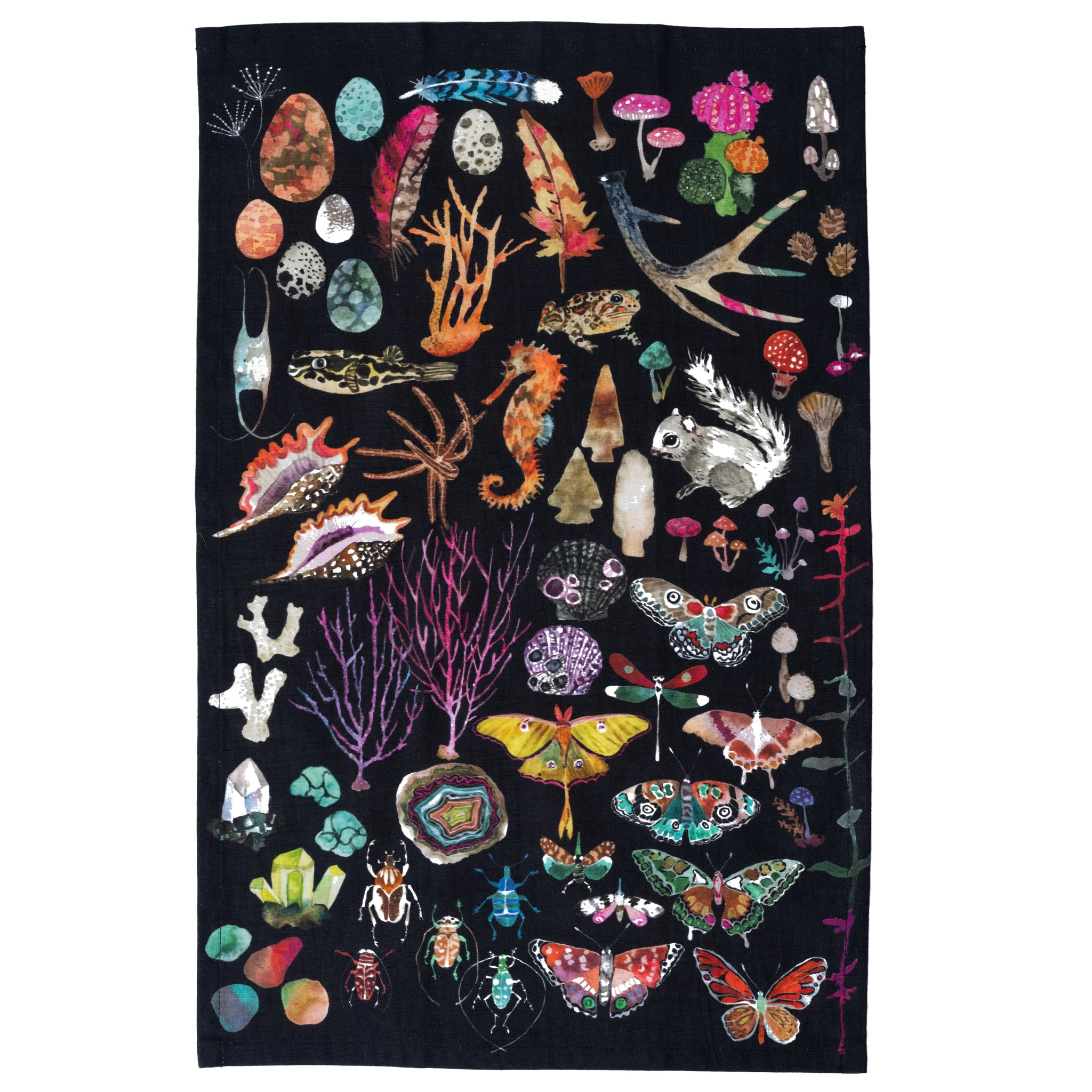 Tea Towel- Specimens – Betsy St. Clair